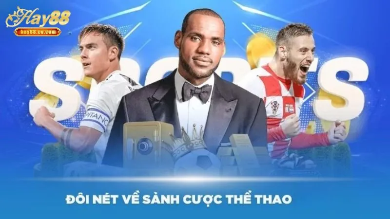 Tổng hợp các lý do mà người chơi vào sảnh SBO